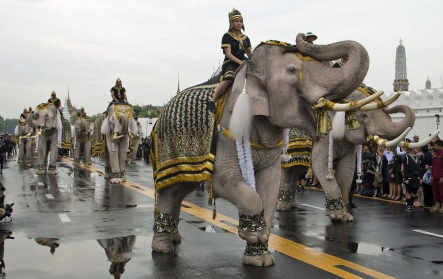 Ini Alasan Mengapa Thailand Disebut Negara Gajah Putih….
